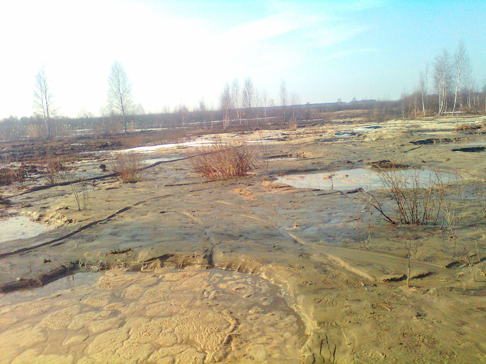Клесівське родовище бурштину